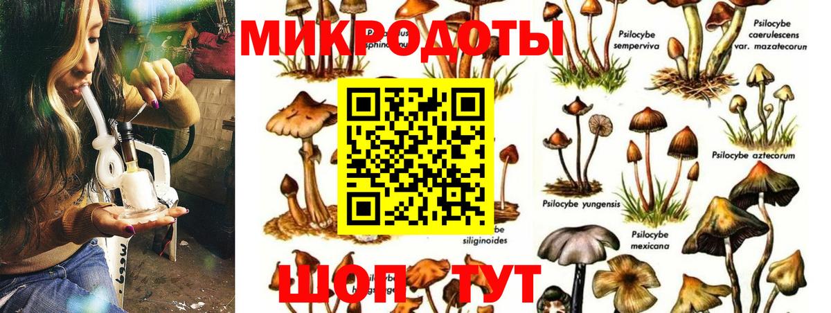 Оренбург  Псилоцибиновые грибы MAGIC MUSHROOMS  Галлюциногенные грибы прущие грибы  Вход с VPN 