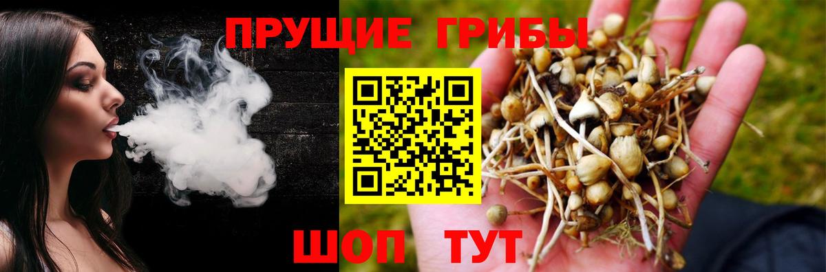Галлюциногенные грибы Cubensis Оренбург